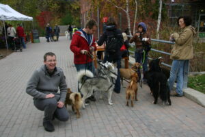 Brickworks-Dogs